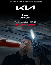 Kia of Anytown - The Essentials | 29.95
