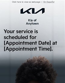 Kia of Anytown - The Essentials | 29.95