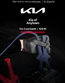Kia of Anytown - The Essentials | 29.95