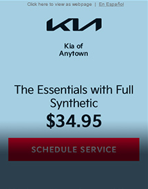 Kia of Anytown - The Essentials | 29.95