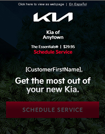 Kia of Anytown - The Essentials | 29.95